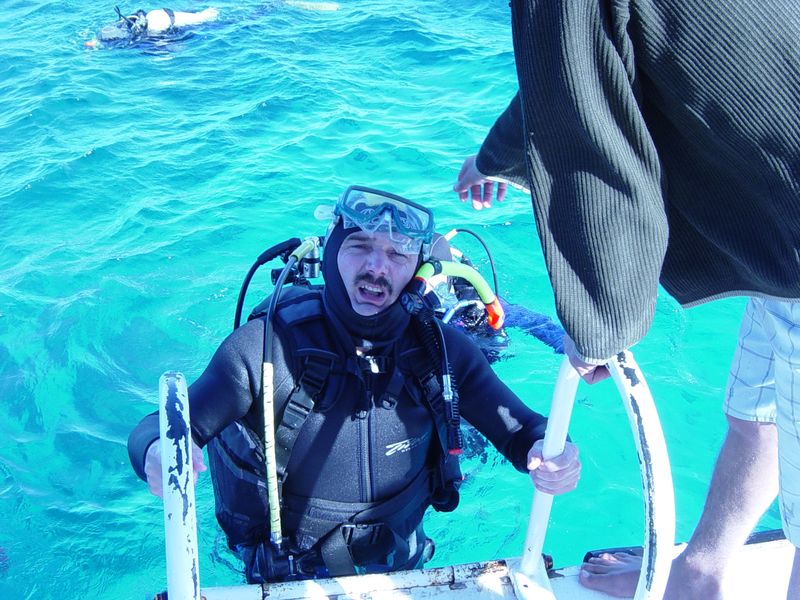 flipper_buvartanfolyam