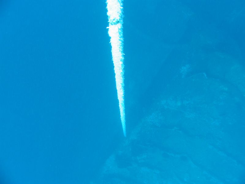 flipper_buvartanfolyam_05