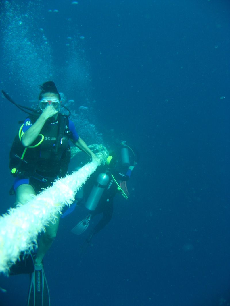 flipper_buvartanfolyam_06