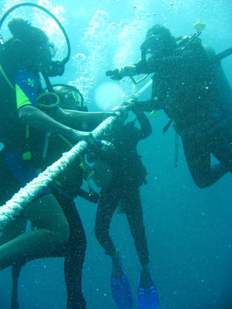 flipper_buvartanfolyam_08