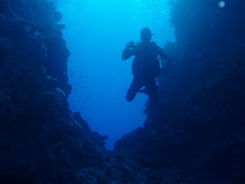 olympus-digital-camera-2