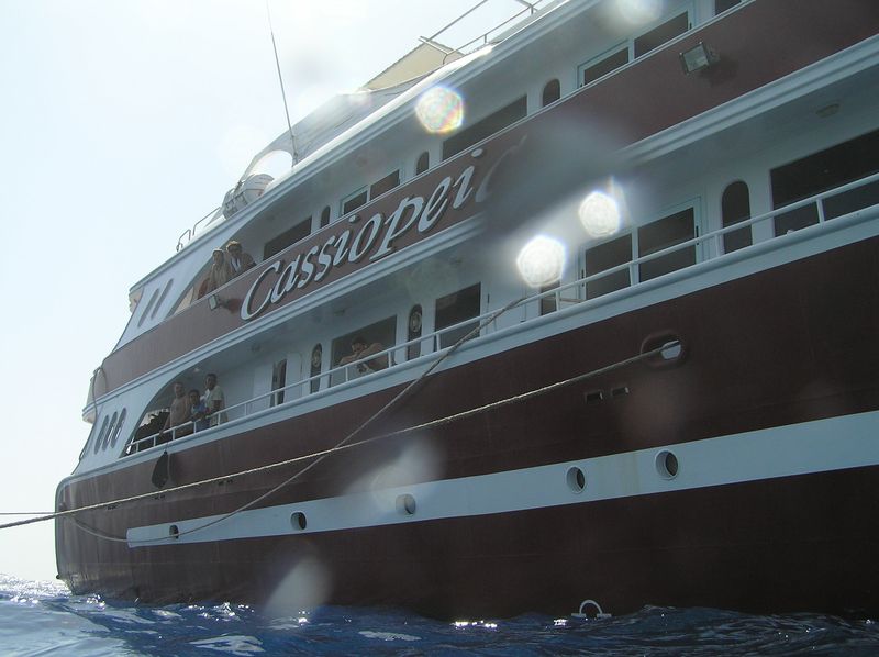 olympus-digital-camera-4