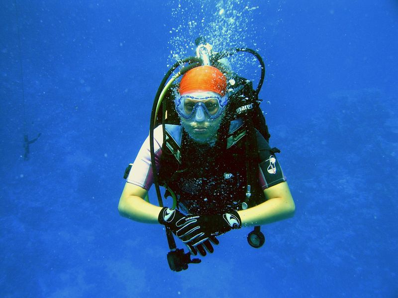 flipper_buvartura_14