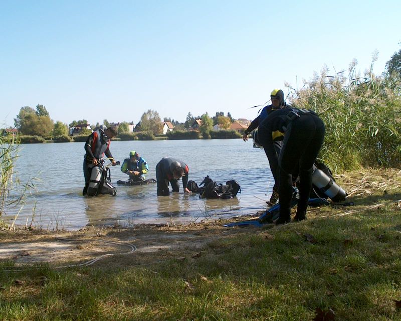 flipper_specialis_08