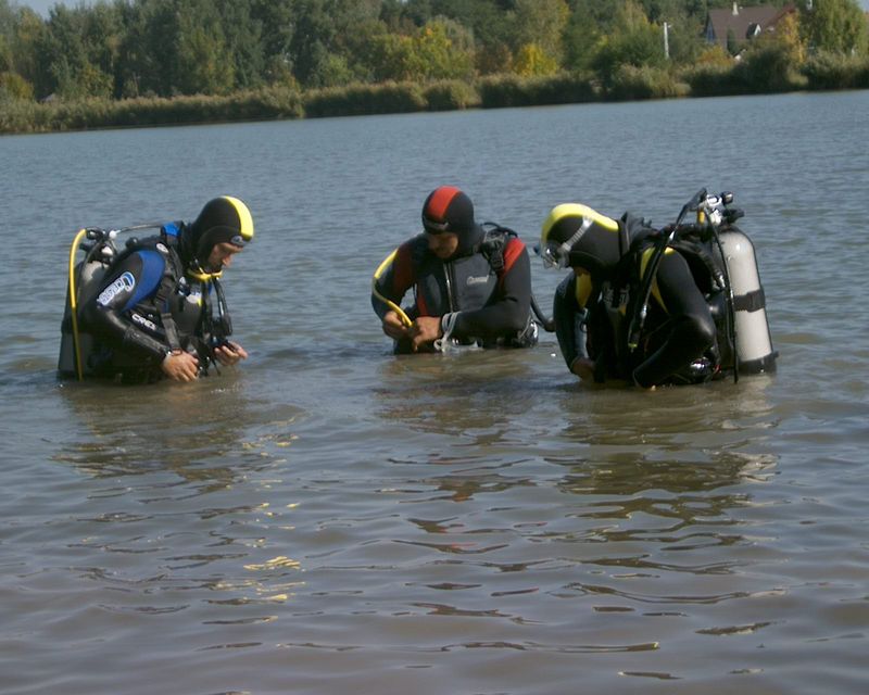 flipper_specialis_10