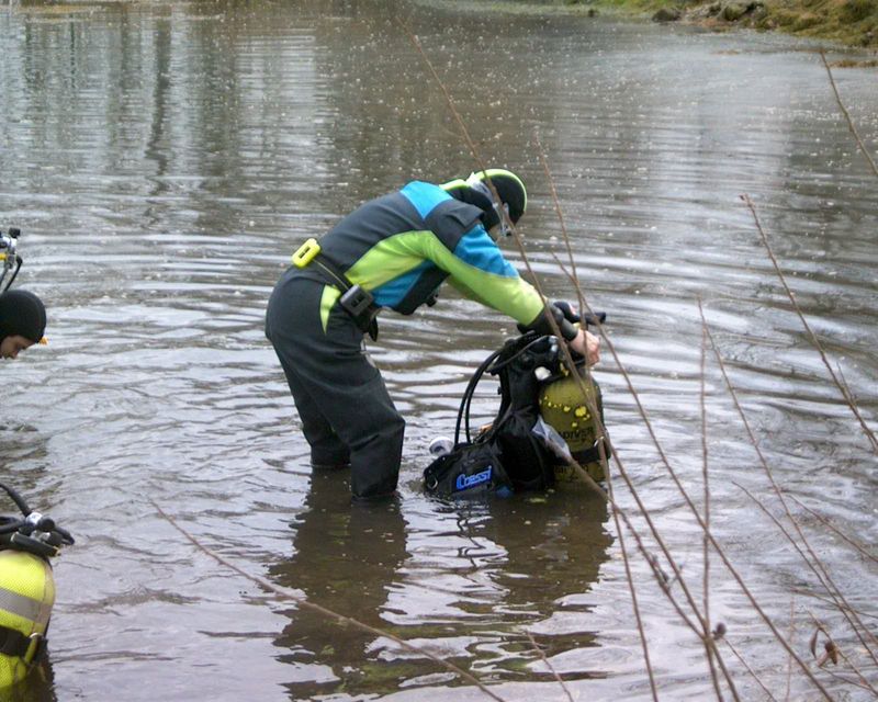 flipper_specialis_11