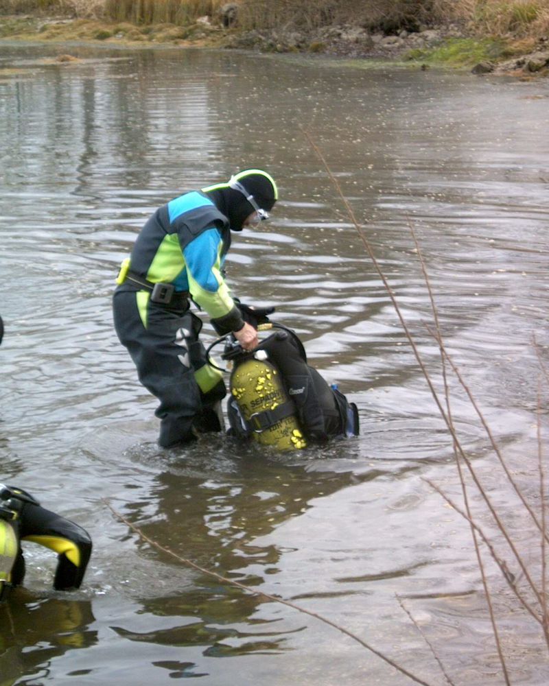 flipper_specialis_12