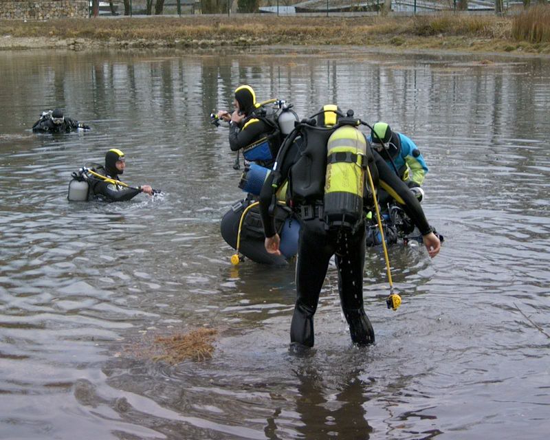 flipper_specialis_13