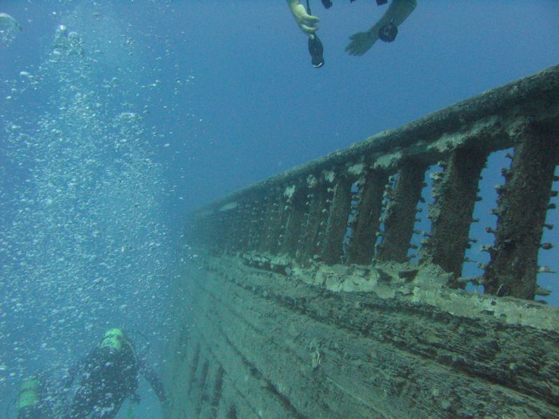 flipper_vizihaverok_11