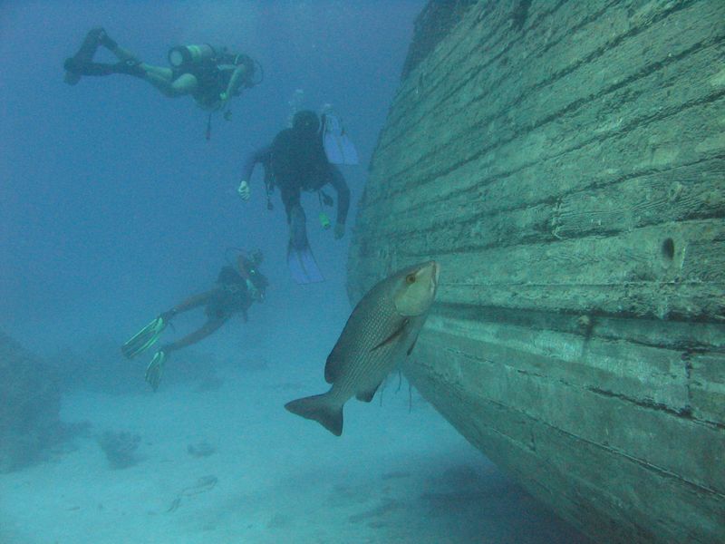 flipper_vizihaverok_12