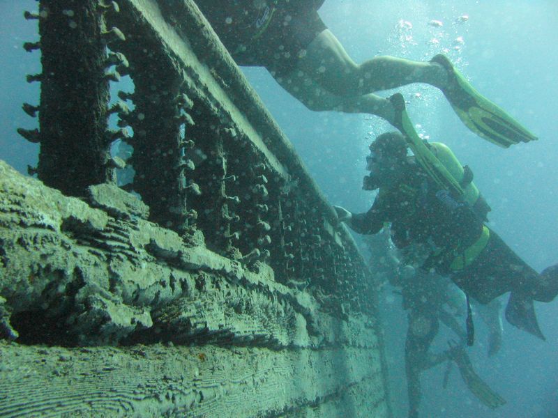 flipper_vizihaverok_13