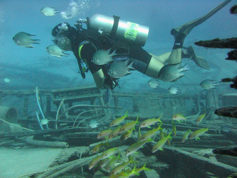 flipper_vizihaverok_14