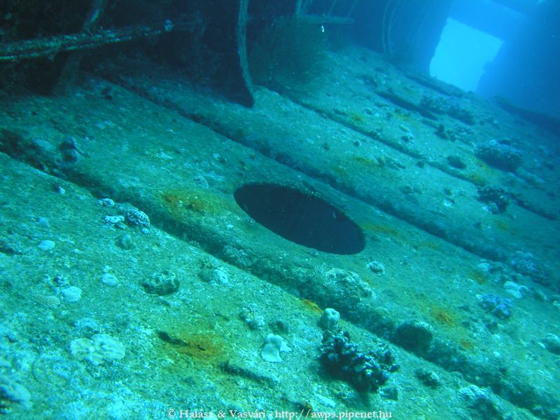 flipper_vizihaverok_21