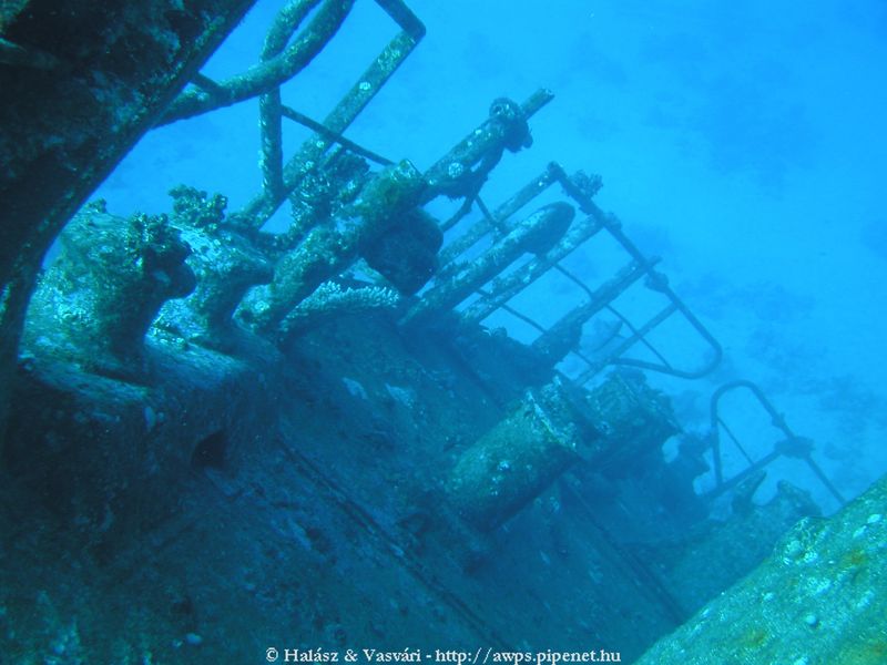 flipper_vizihaverok_22