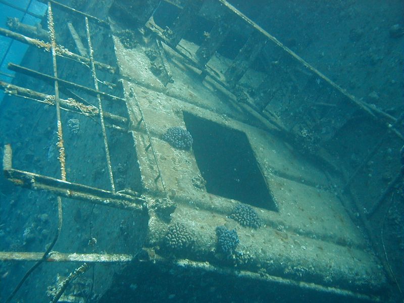 olympus-digital-camera-10