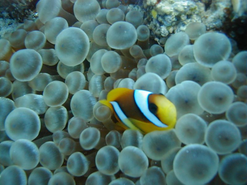 olympus-digital-camera-11